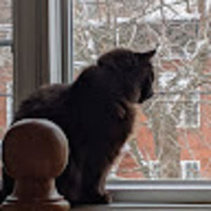 Meet your Posher, Jonathon